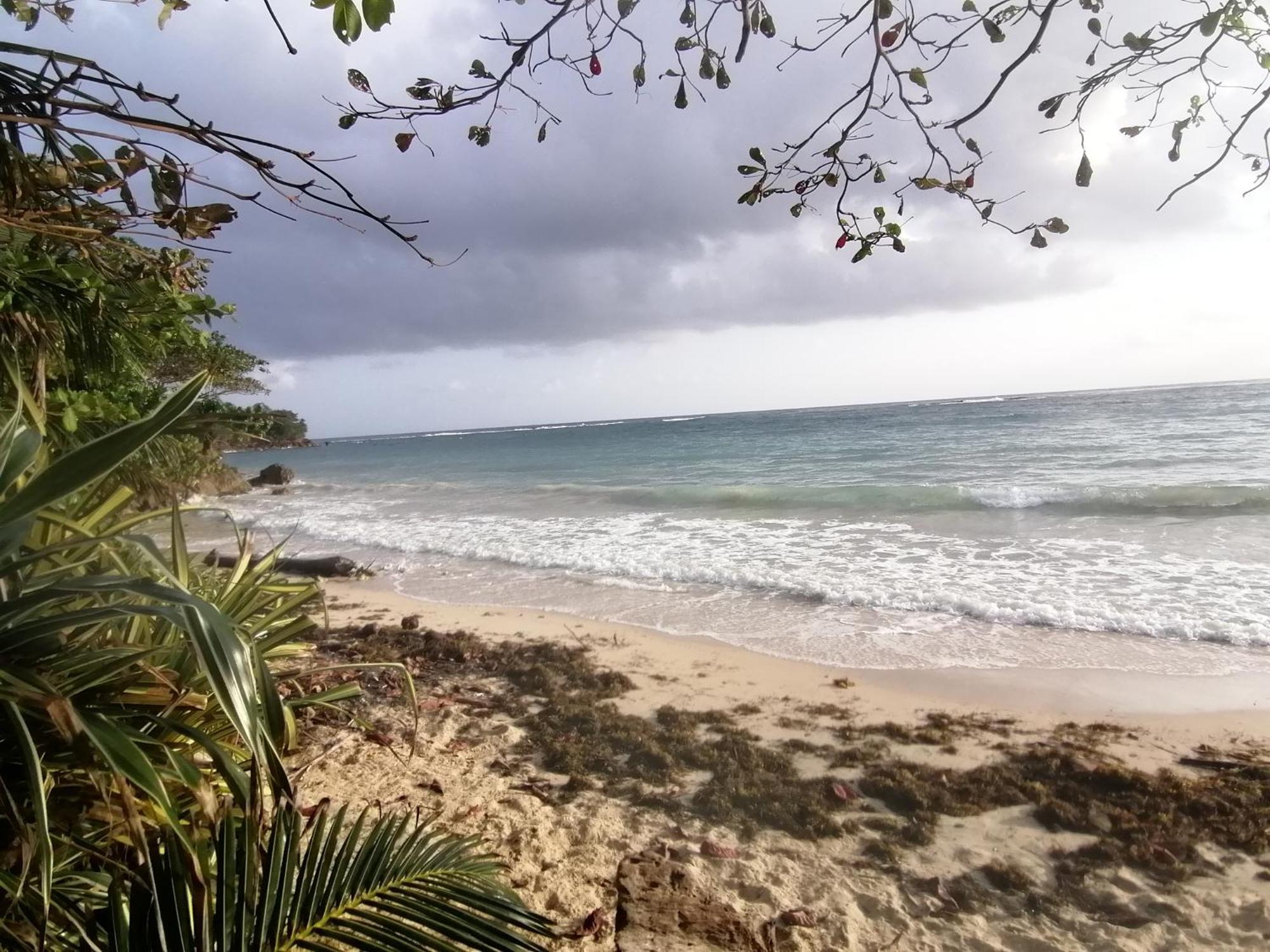 Port Antonio Brian'S Beach House Exterior foto
