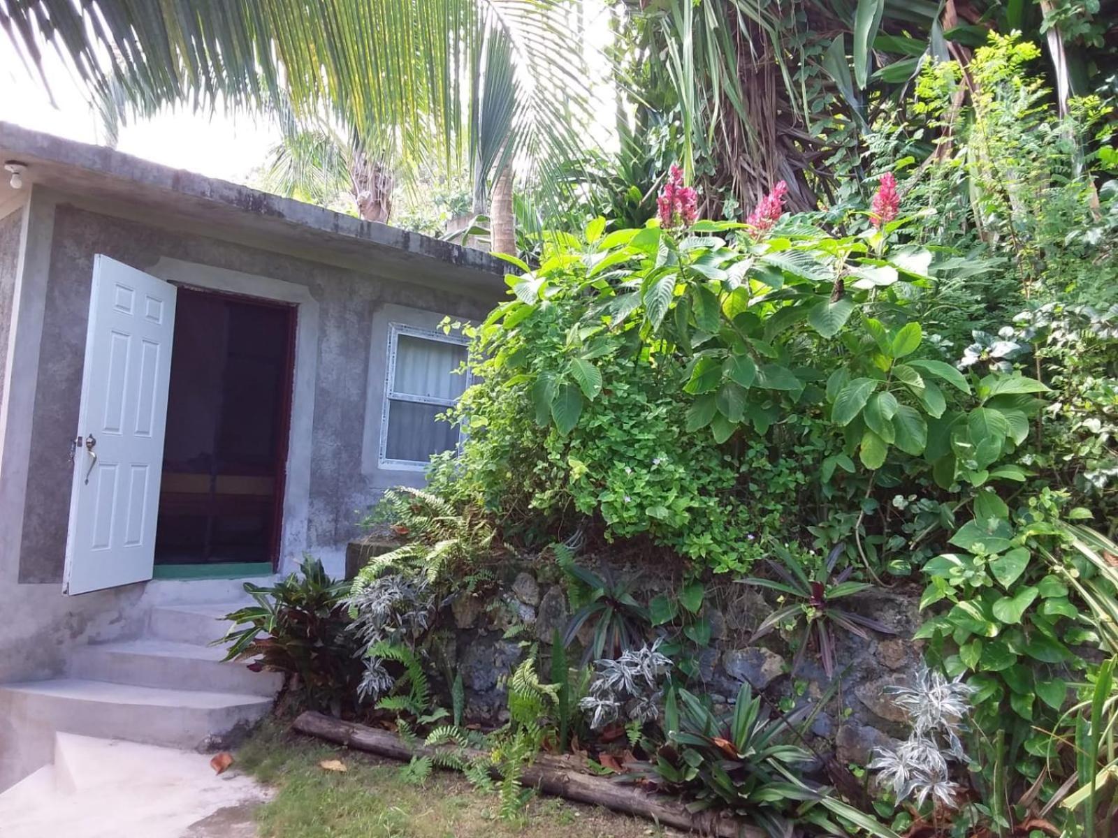 Port Antonio Brian'S Beach House Exterior foto